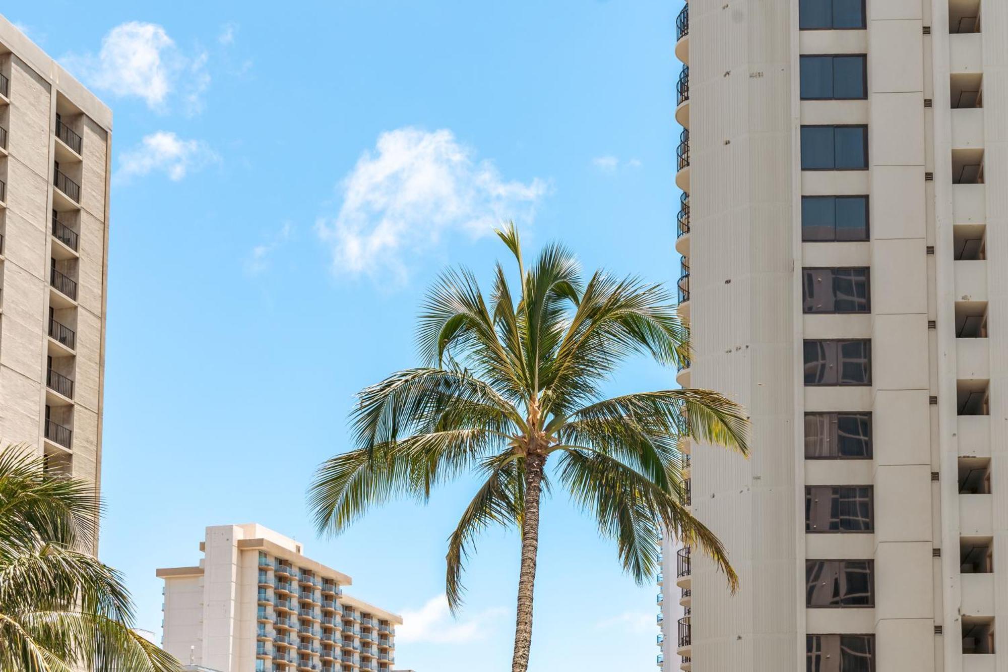 1Br With Great Ocean Views, 1 Block To Waikiki Beach Honolulu Esterno foto